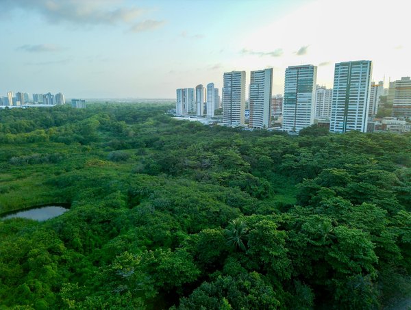 Sécurité sociale : quels seront les grands défis de la décennie à venir ?