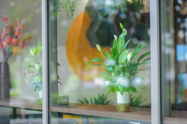 Pourquoi ne pas se faire un marathon des films à l'affiche ?